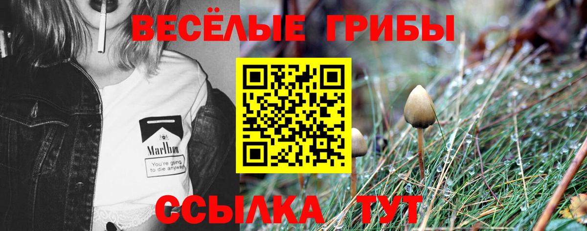 Усолье-Сибирское  где купить наркоту  Галлюциногенные грибы Magic Shrooms  Вход с VPN  Галлюциногенные грибы Magic Shrooms 
