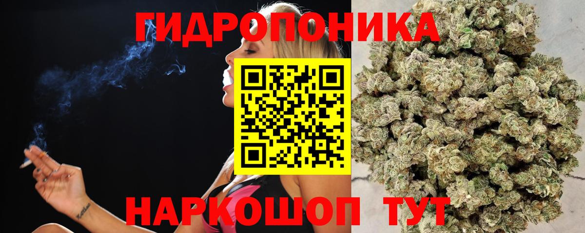 Бошки марихуана Amnesia Усолье-Сибирское
